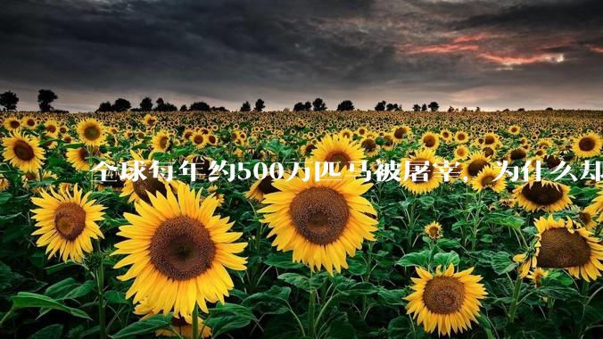 全球每年约500万匹马被屠宰，为什么却见不到中国人吃马肉？